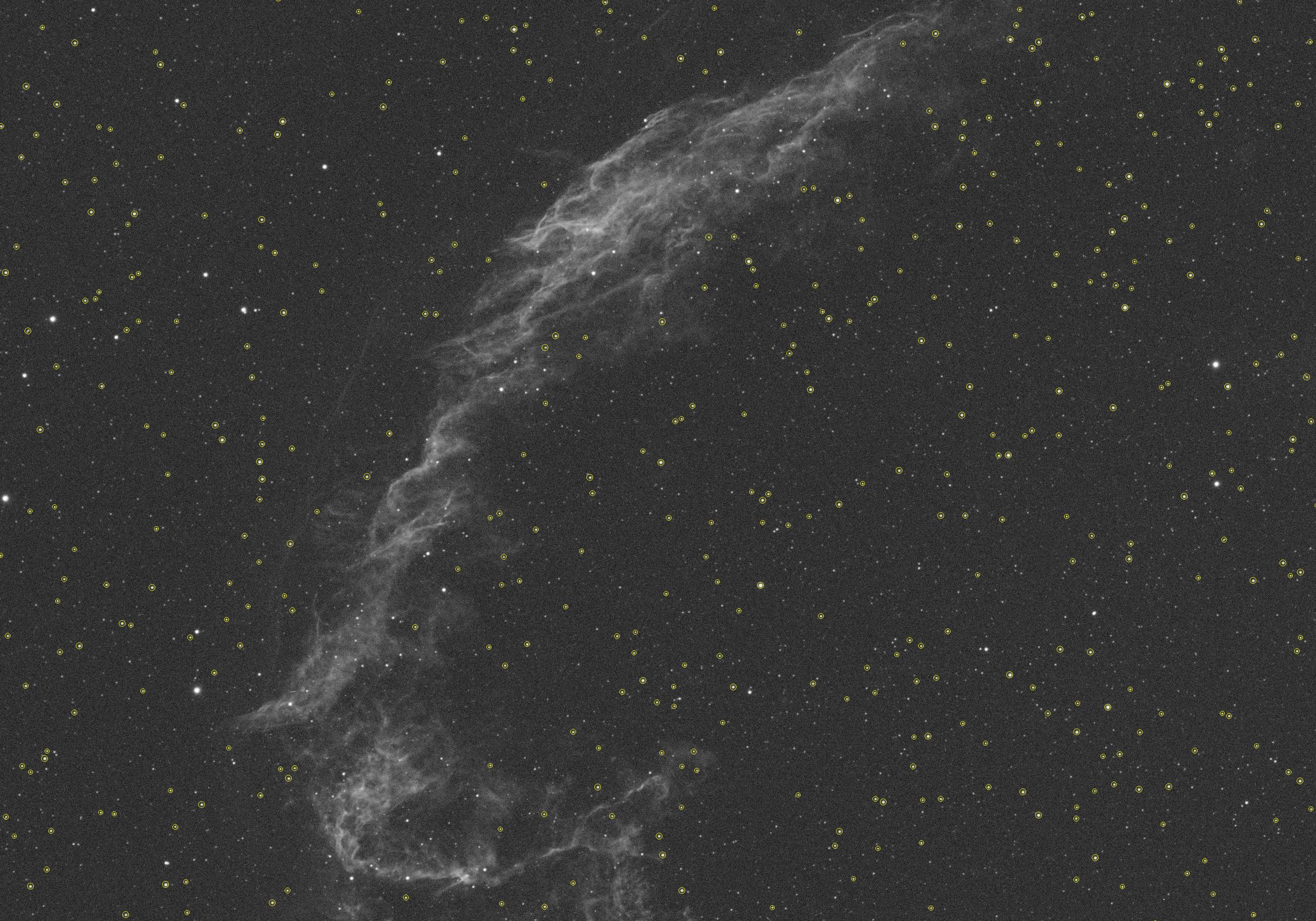 Annotated star detection output